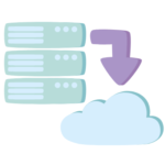 Data Organization
